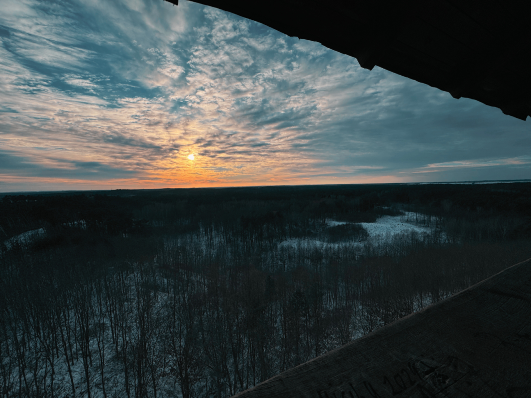 Widok z wieży widokowej na górze Trębacza, woj. Lubuskie.