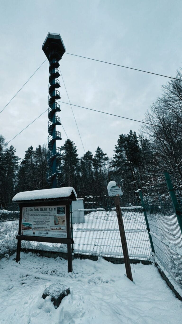 Góra Gołębia (Żarska) – najwyższy punkt województwa Lubuskiego